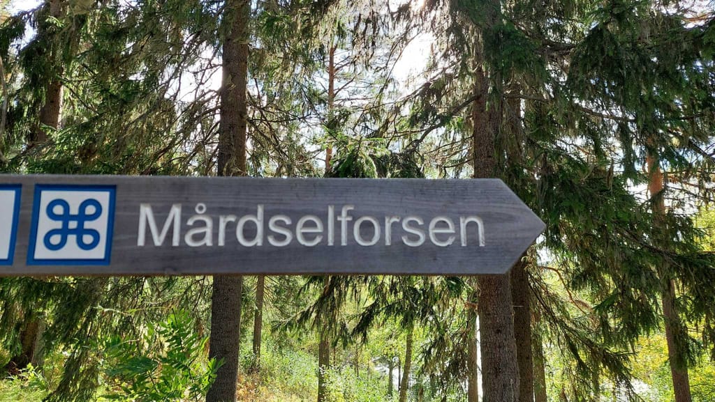 Bild på Mårdseleforsen Wild River