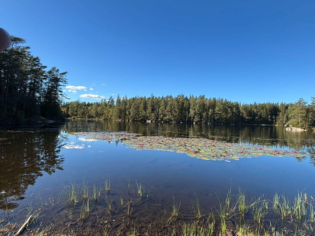 Bild på Pickesjön