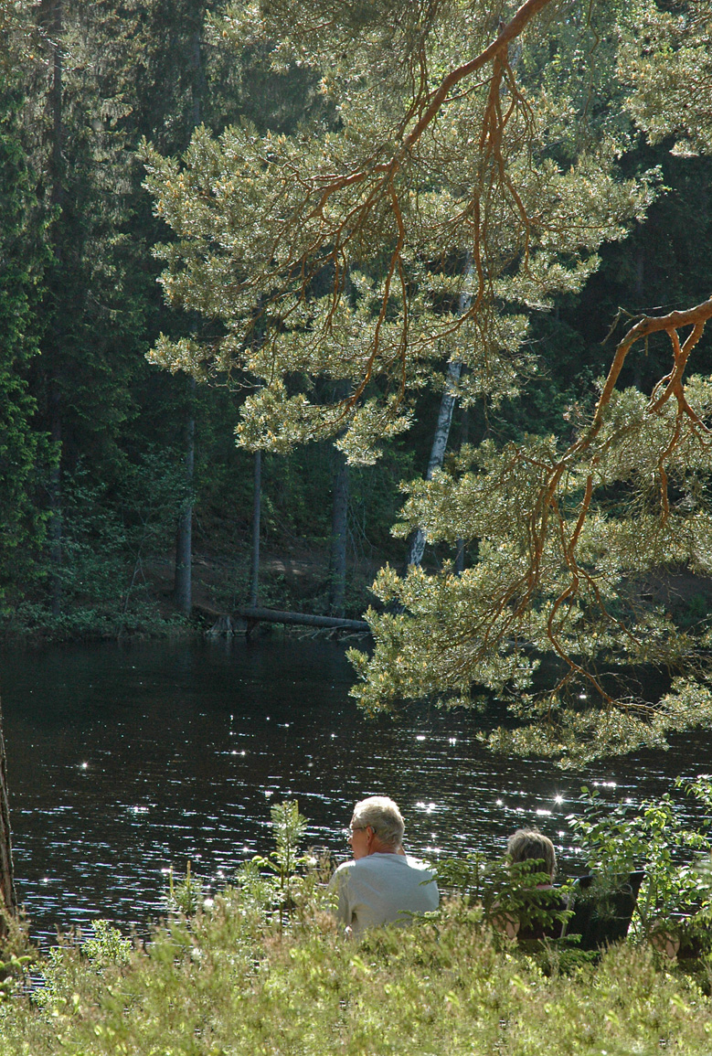 Bild på Liens Camping