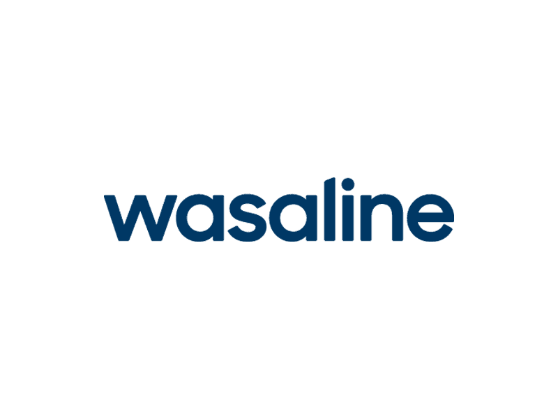 Bild på Wasaline Umeå-Vasa