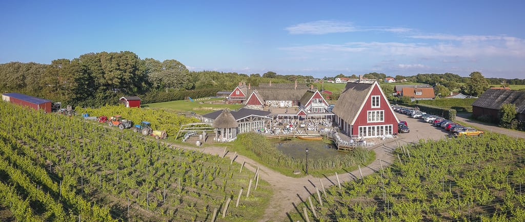 Bild på Arilds Vingård