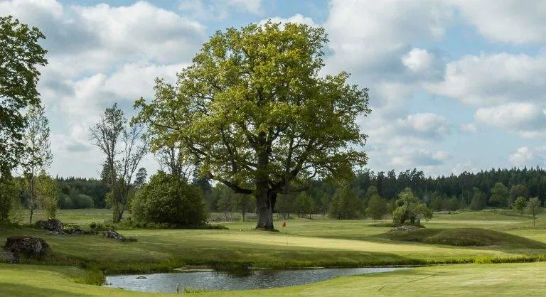 Bild på Örbyhus Golfklubb