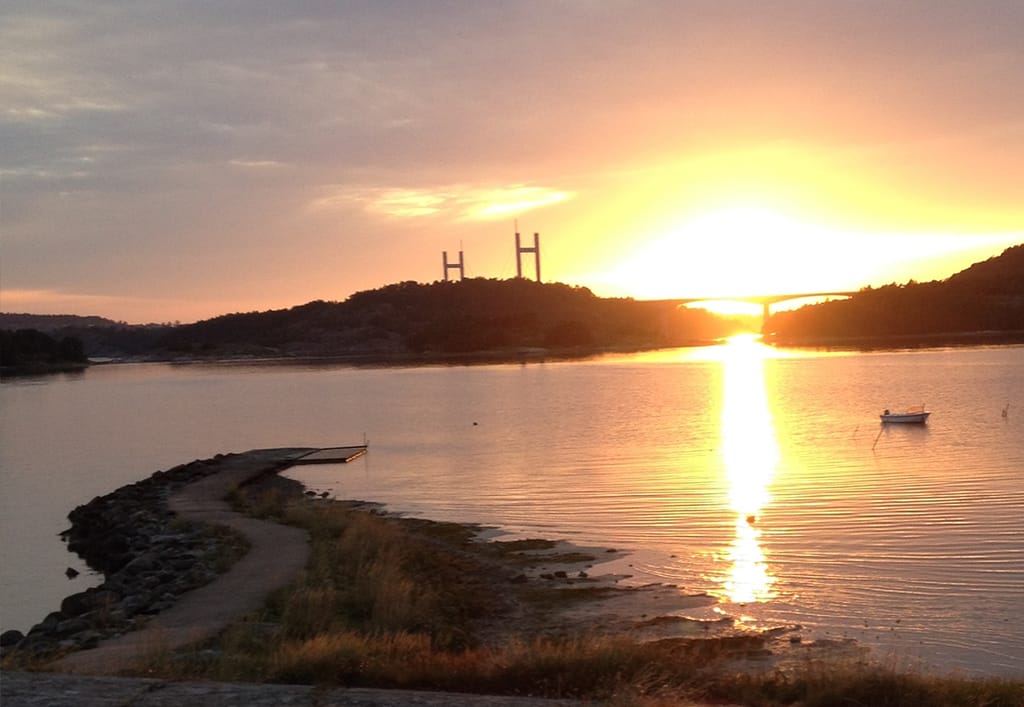 Bild på Surfviken