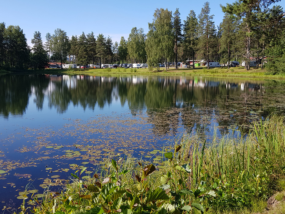 Bild på Vivstavarvstjärns Camping