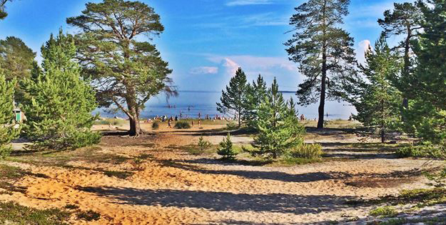 Bild på Seskarö Havsbad & Camping
