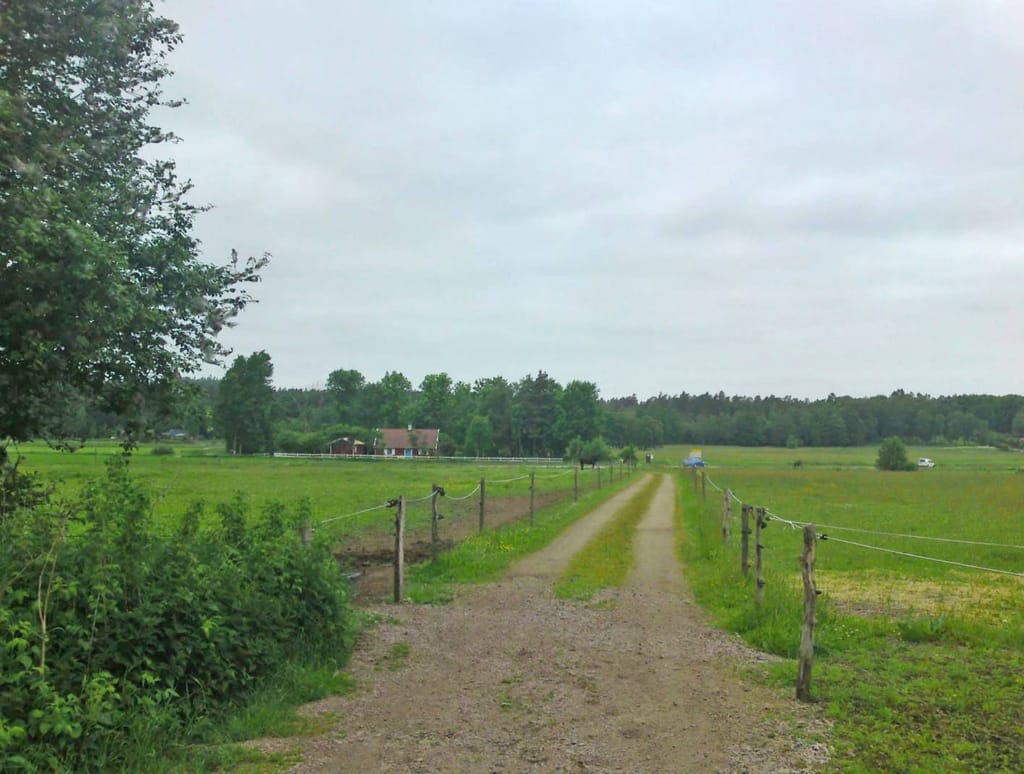 Bild på Kalendebolet Musteri & Camping