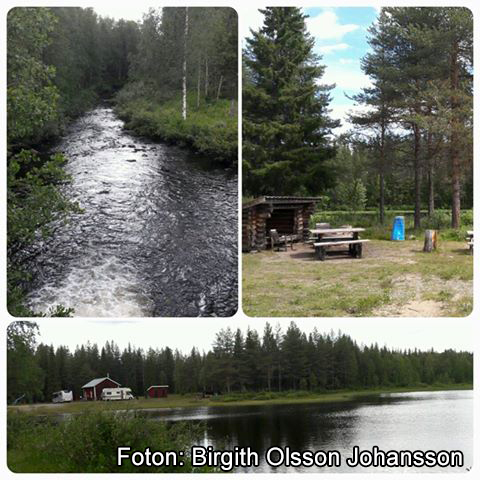Bild på Badsågen, Glommersträsk
