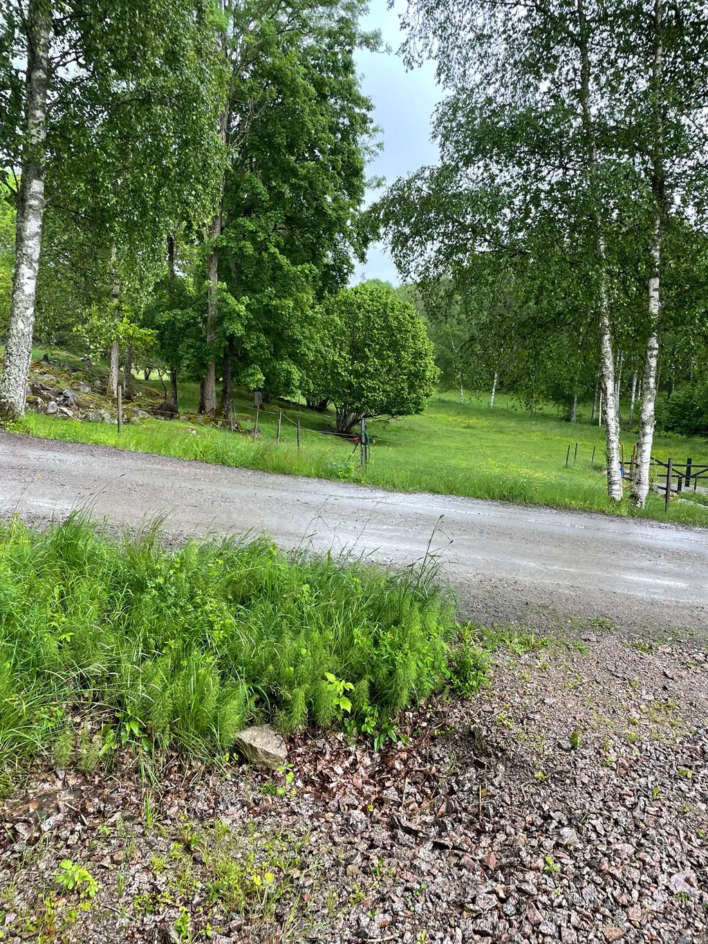 Bild på Buvattnets Gård