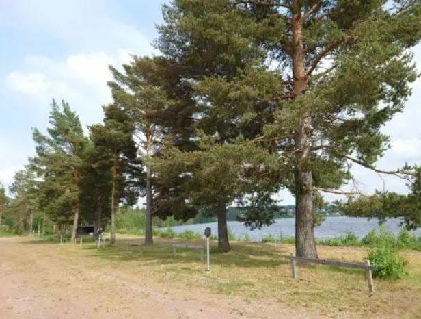Bild på Mora GK
