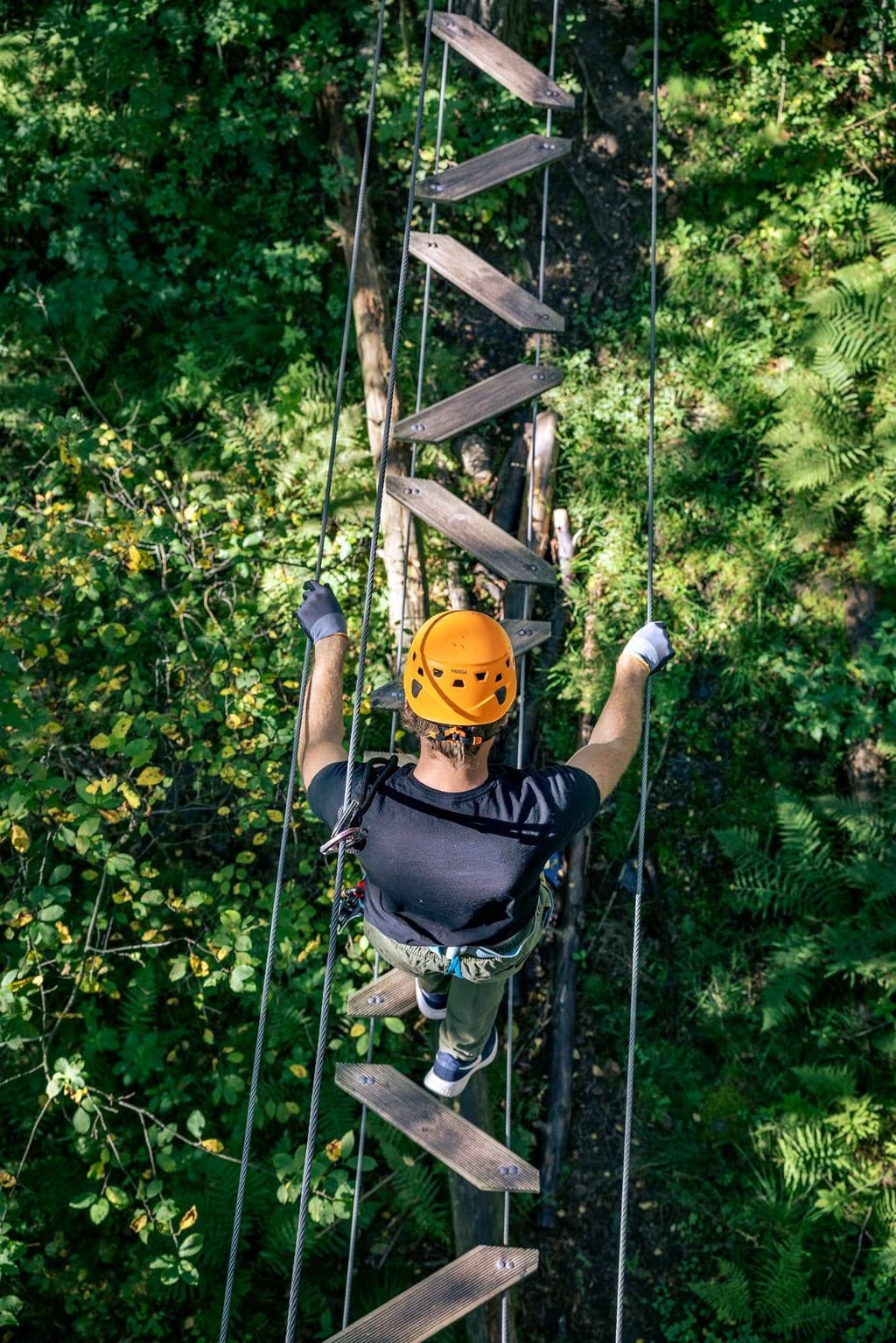 Bild på High Adventure