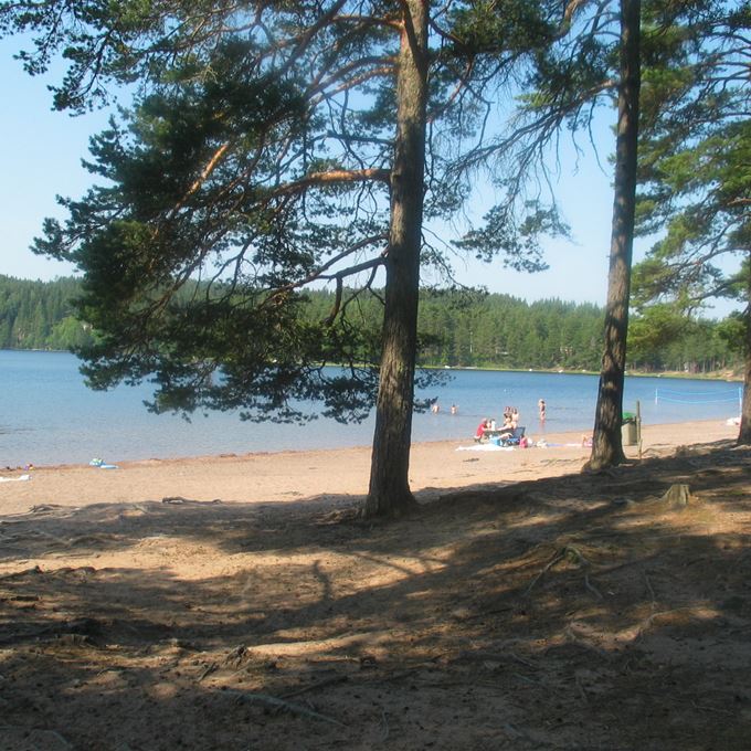 Bild på Dammsjön