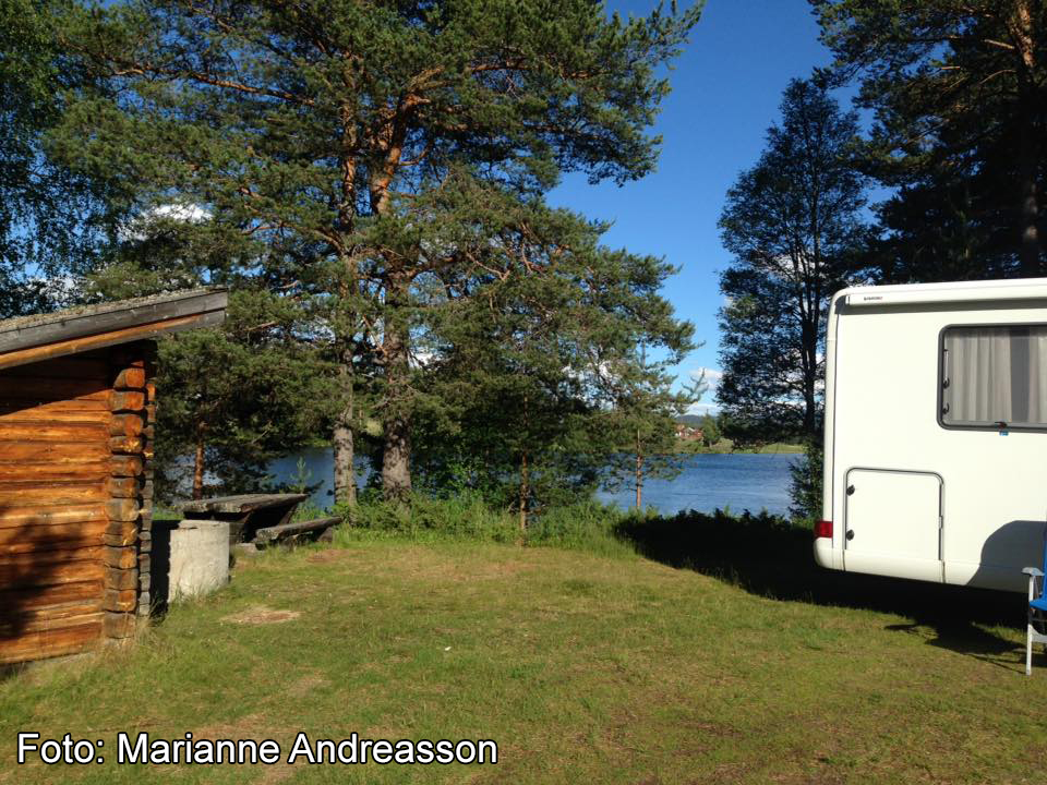 Bild på Älvros