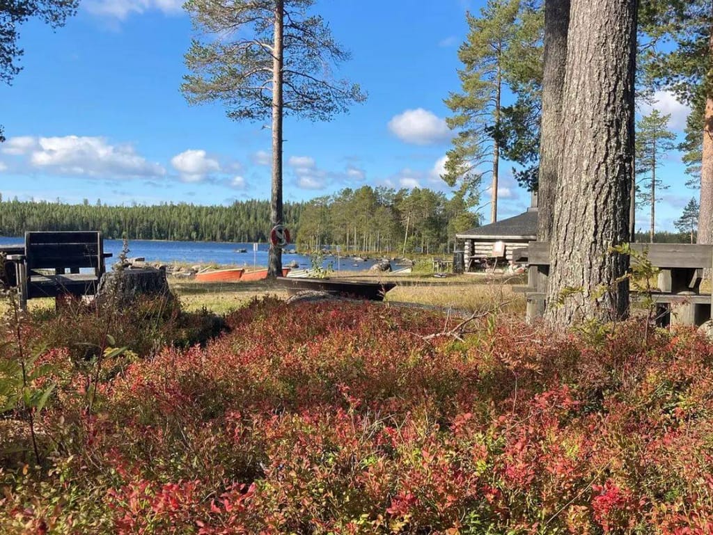 Bild på Vildmarkscamp Stora Stenträsk