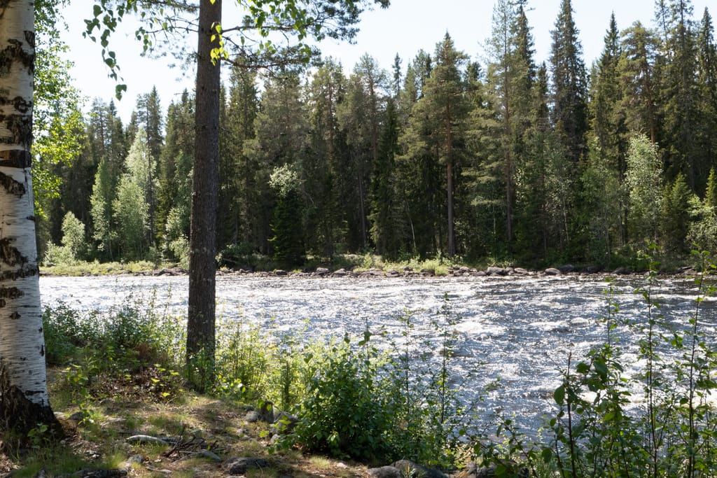 Bild på Foskflon, lägerplats