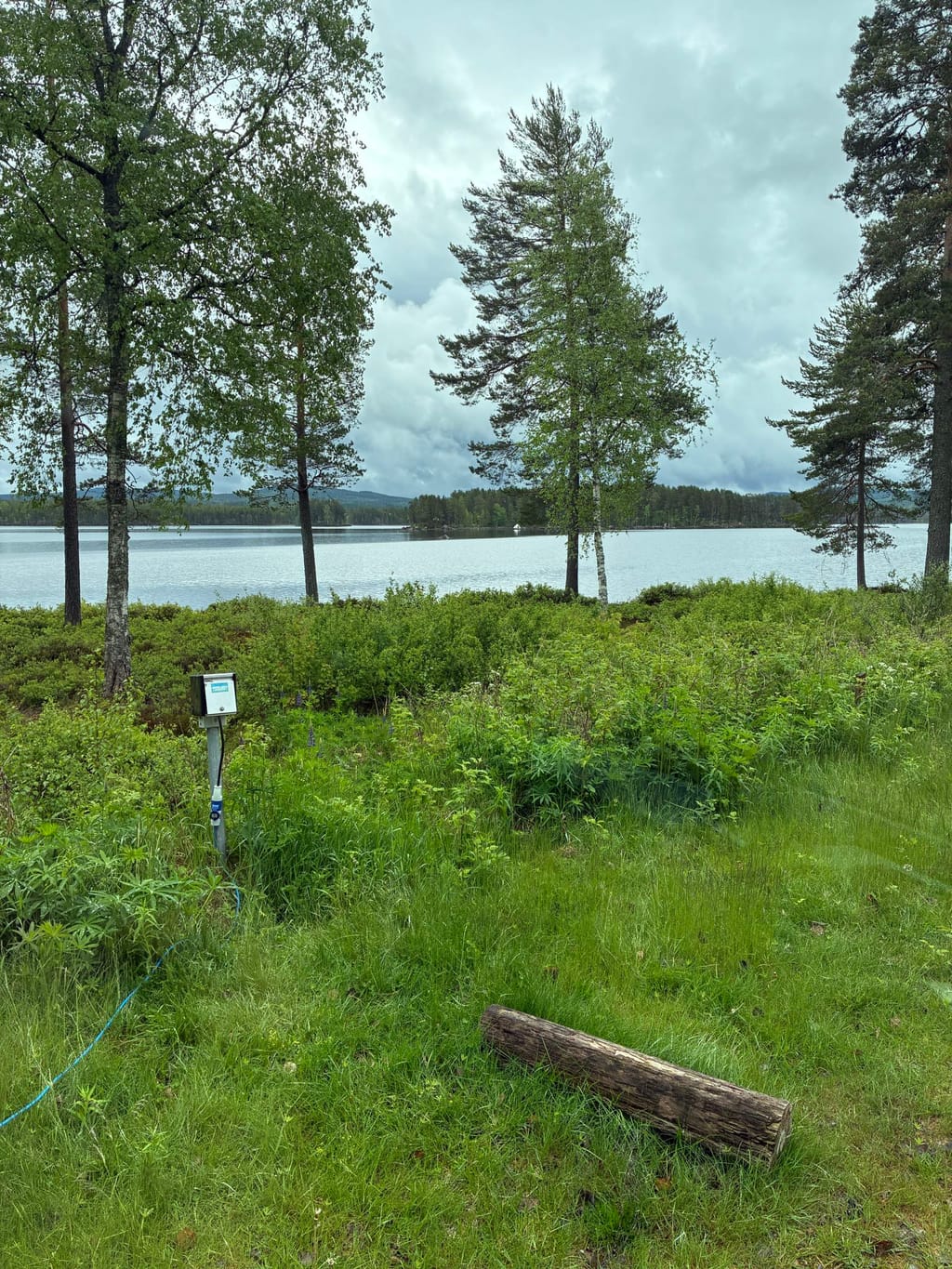 Bild på Värmlandsgården