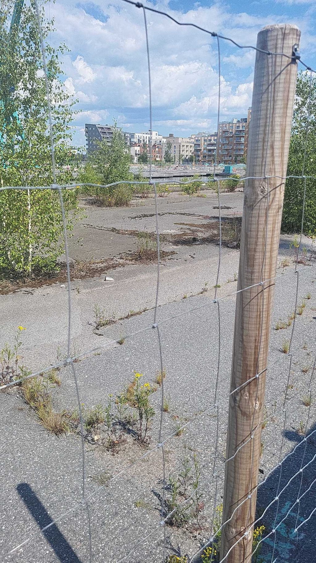 Bild på Inre Hamnen, Norrköping