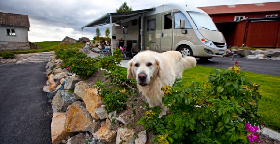 Bild på Lagunen Camping & Stugor, Bobilparken