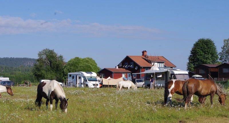 Bild på Sun Dance Ranch
