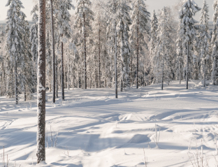 Bild på Kungsberget