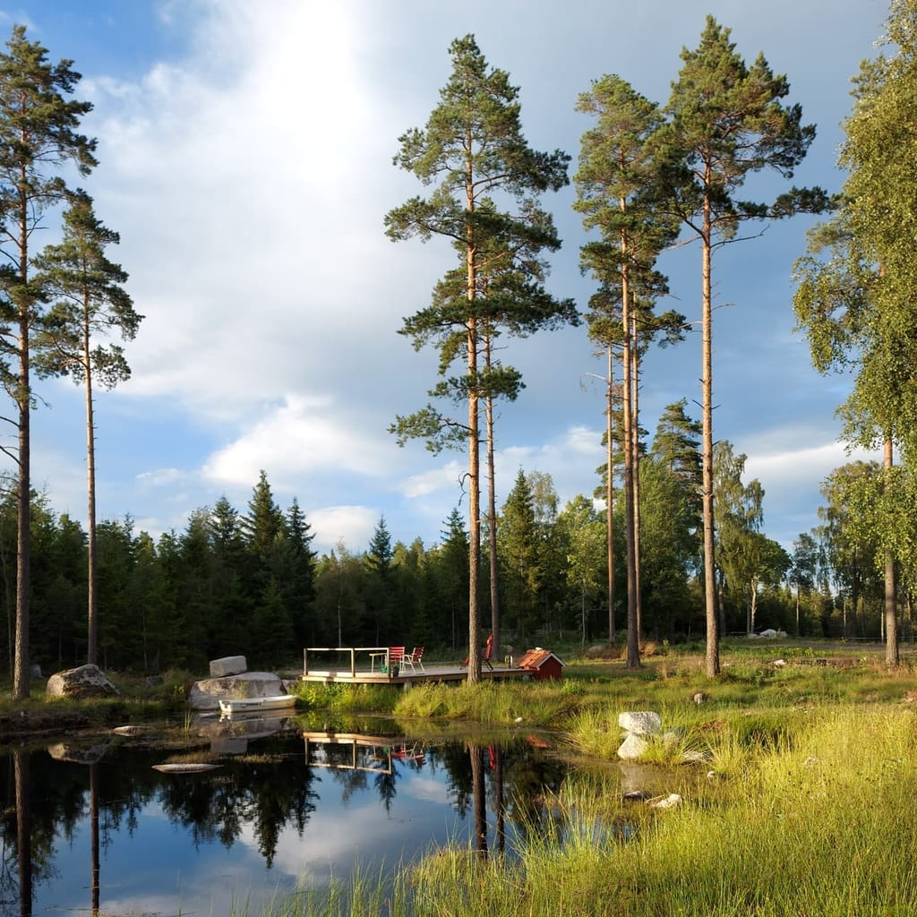 Bild på Sötterfällan Gård