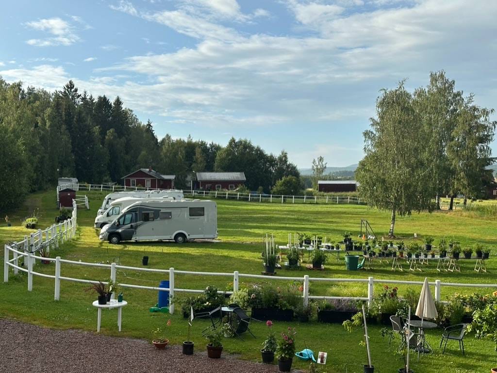 Bild på Heddas Frukt & Grönt