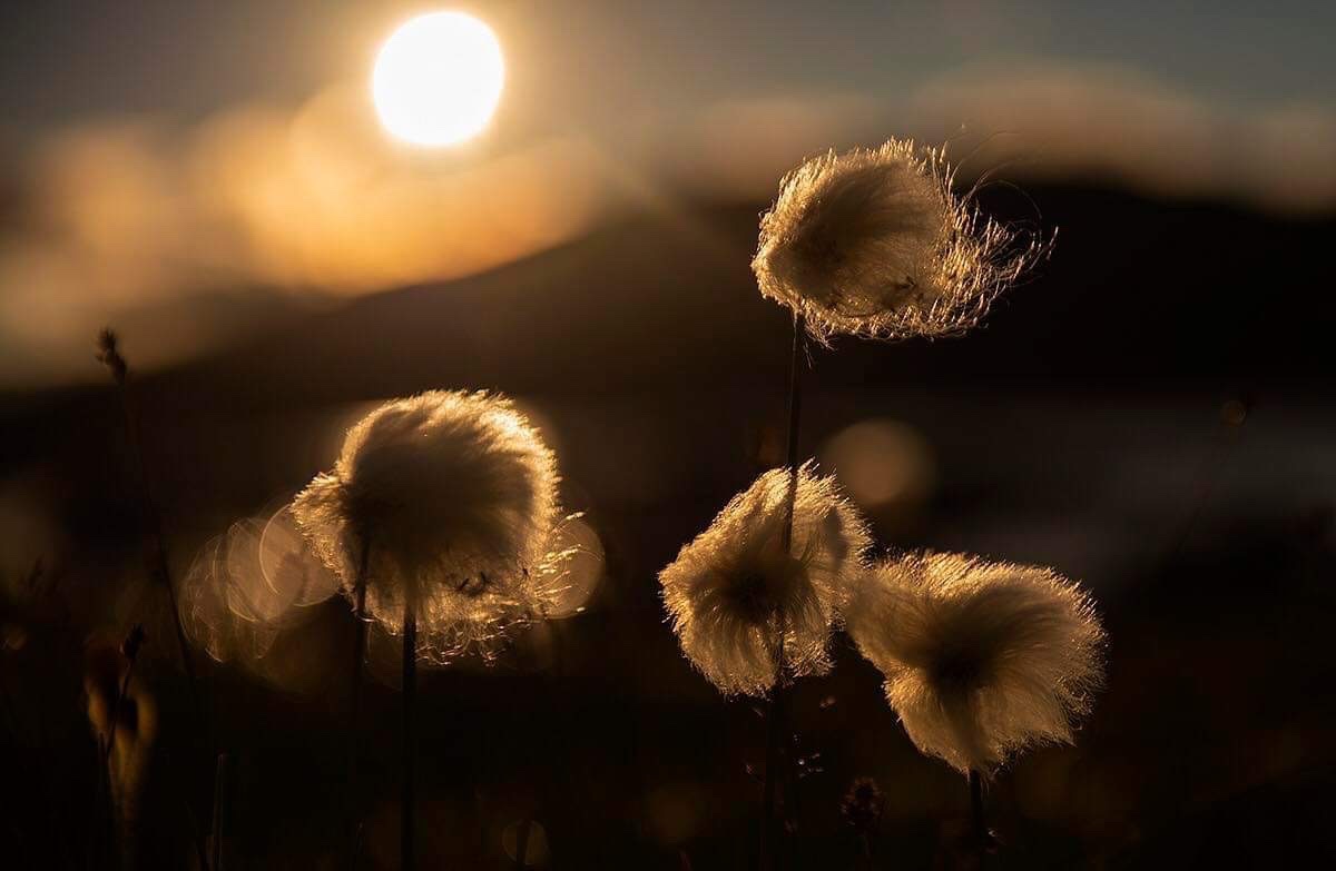 Åpent møte mot vindkraft i Melhus og Midtre Gauldal