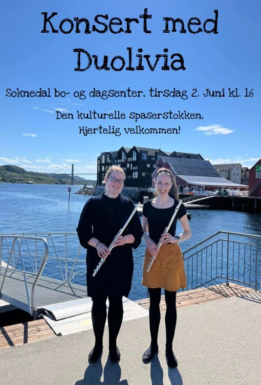Minikonsert i Soknedal 