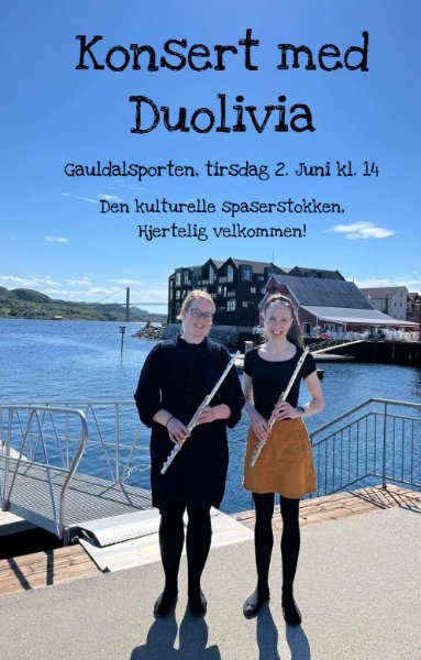 Minikonsert på Gauldalsporten