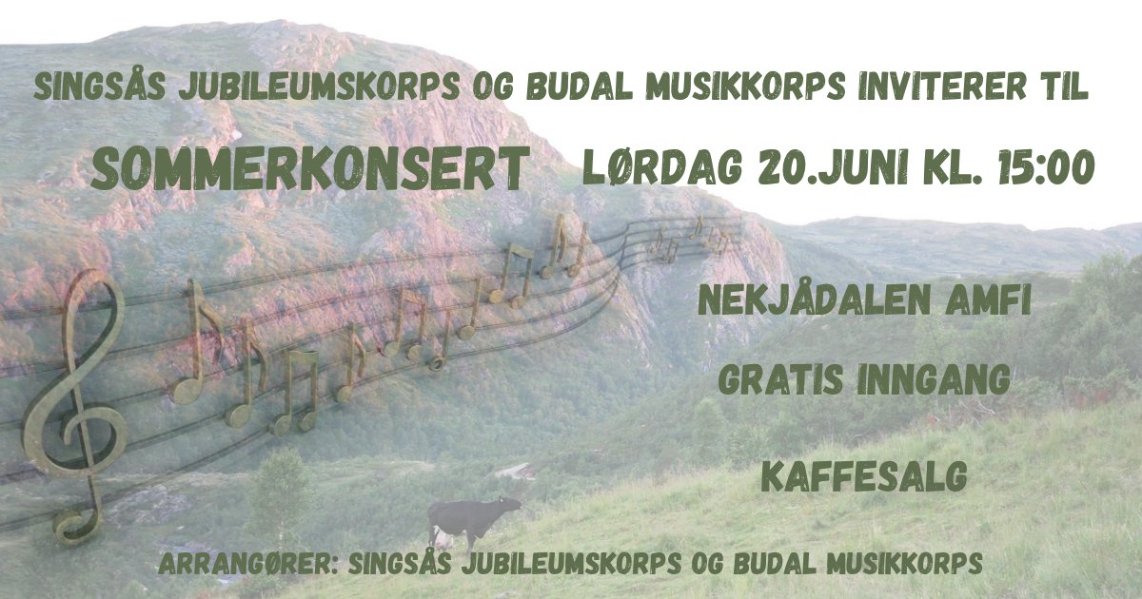Sommerkonsert