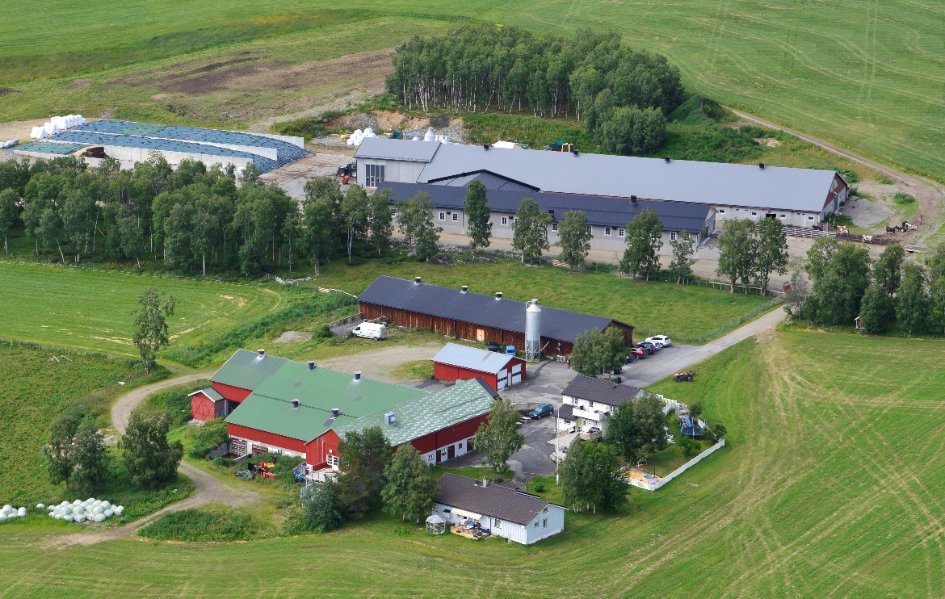 Eggjubilum og Åpen Gård