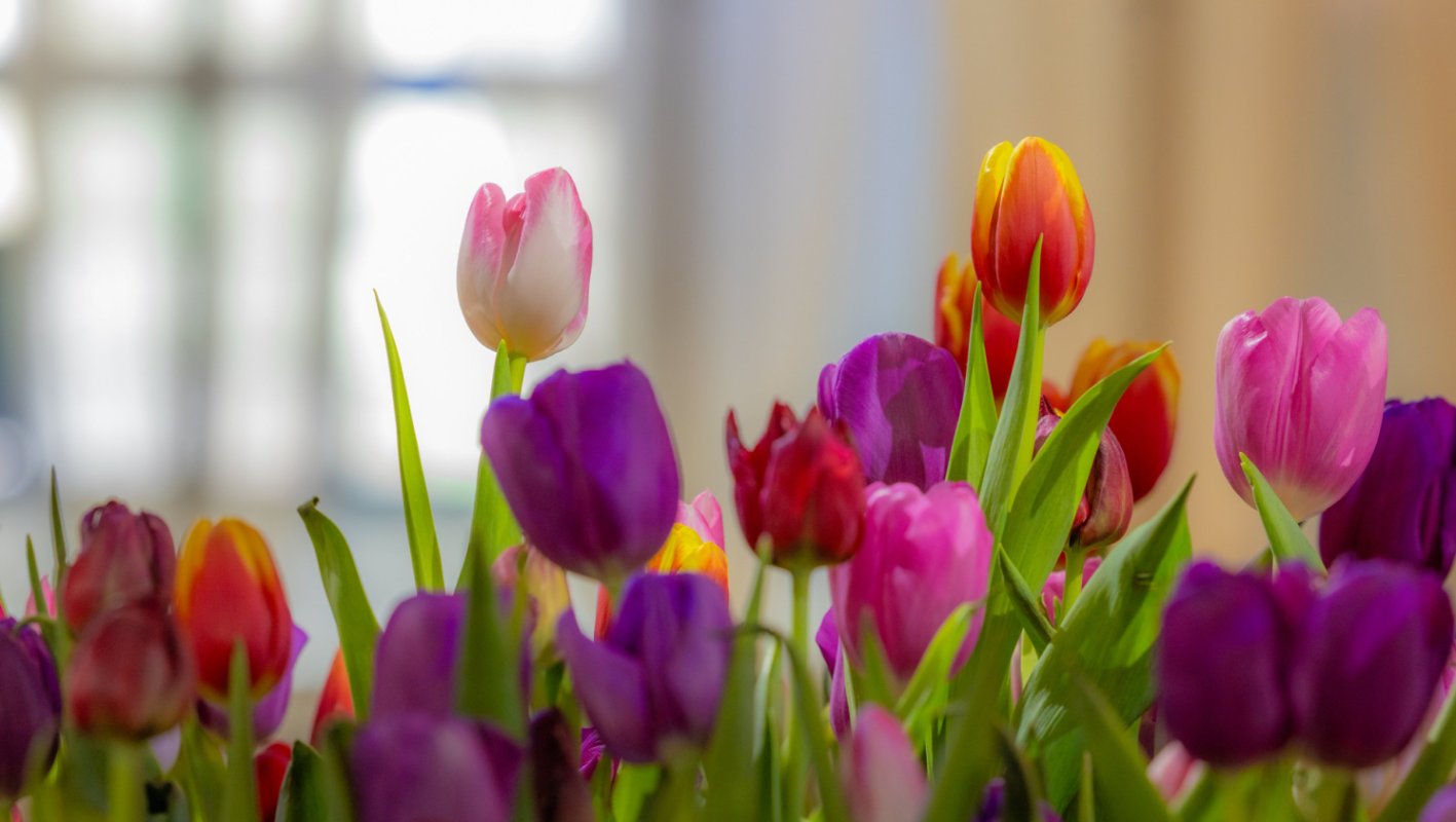 Den femte årstid i Røros kirke