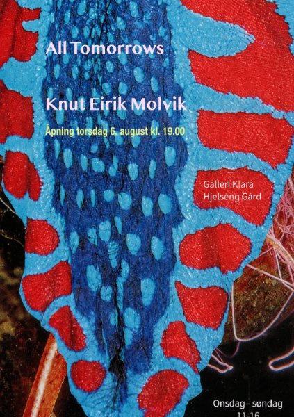 Kunstutstilling med Knut Eirik Molvik