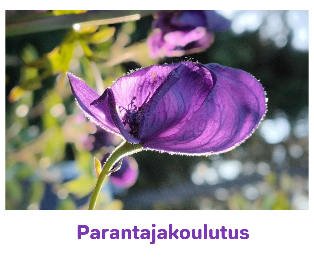PARANTAJAKOULUTUS