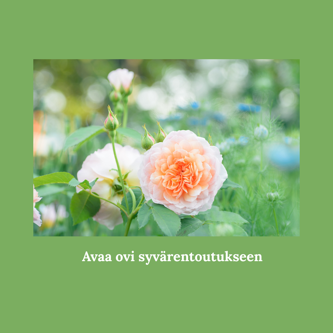 Avaa ovi syvärentoutukseen