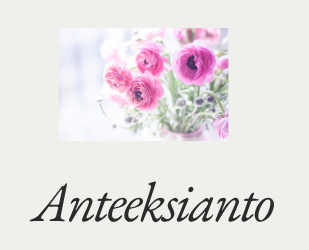 Anteeksianto ohjelma 