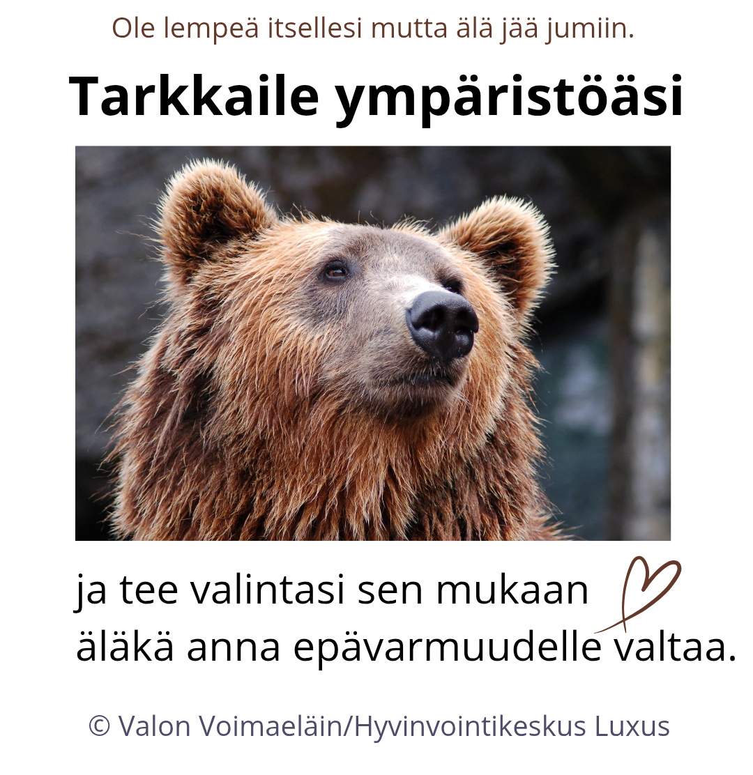 Valon Voimaeläin digitaalinen korttipakka 