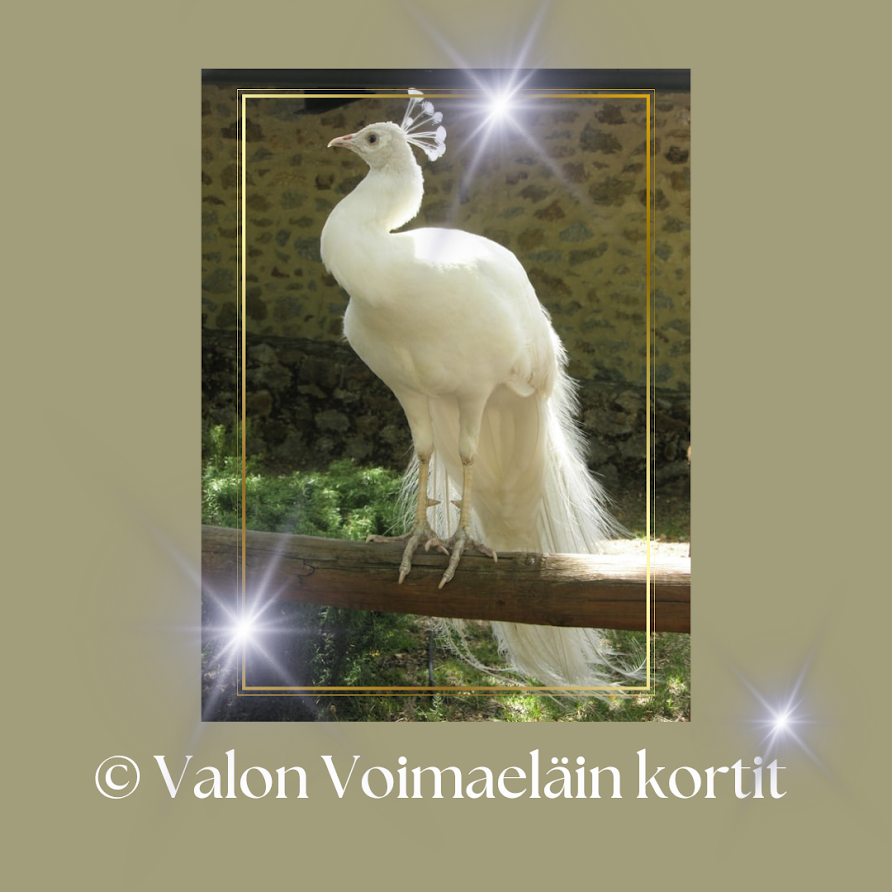 © Valon Voimaeläin kortit ( digitaalinen korttipakka)