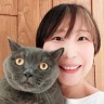 作家アイコン画像