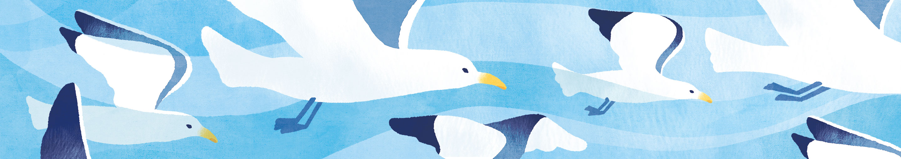 アーティストトップ画像