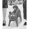 作家アイコン画像