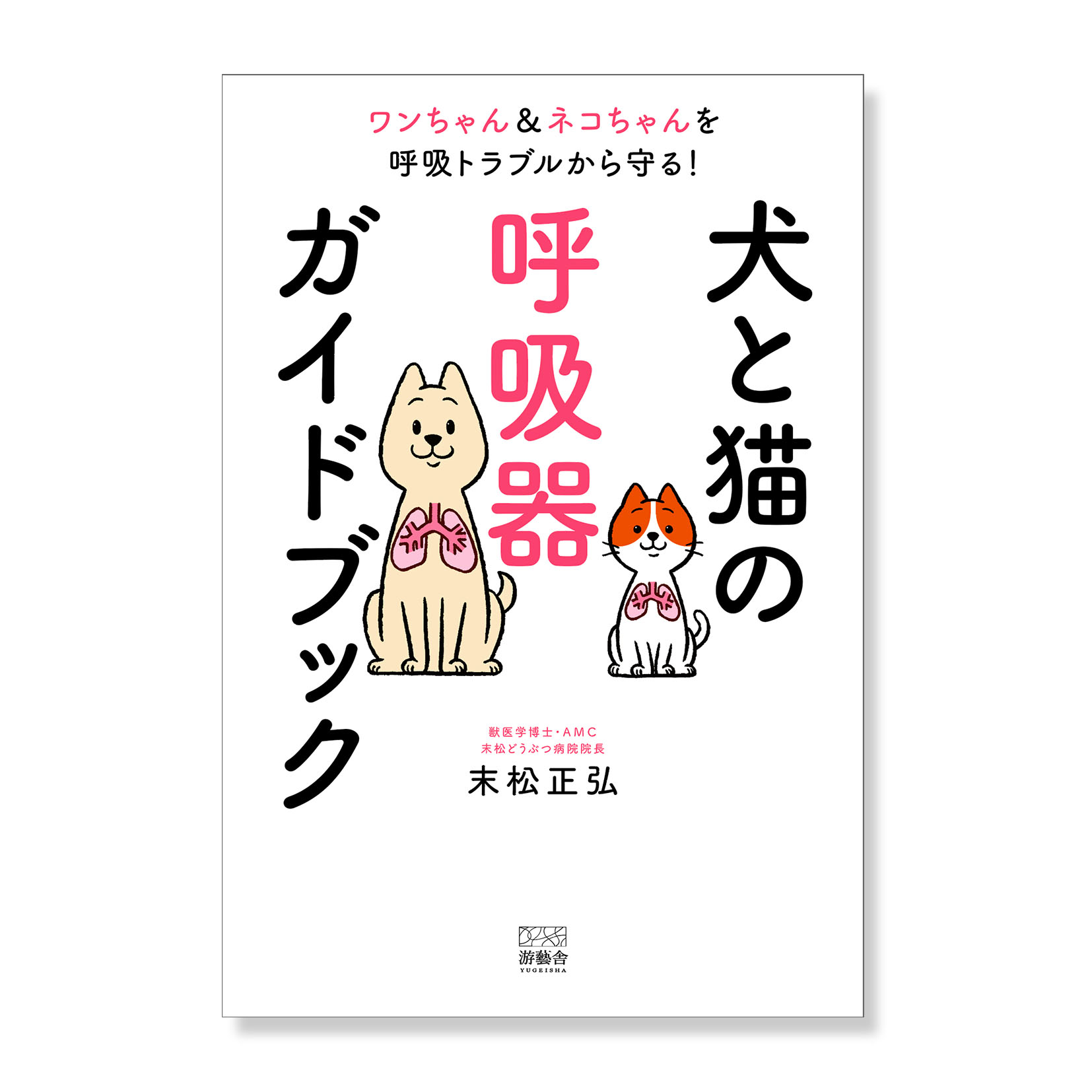 表紙、扉イラストを描かさせて頂きました。