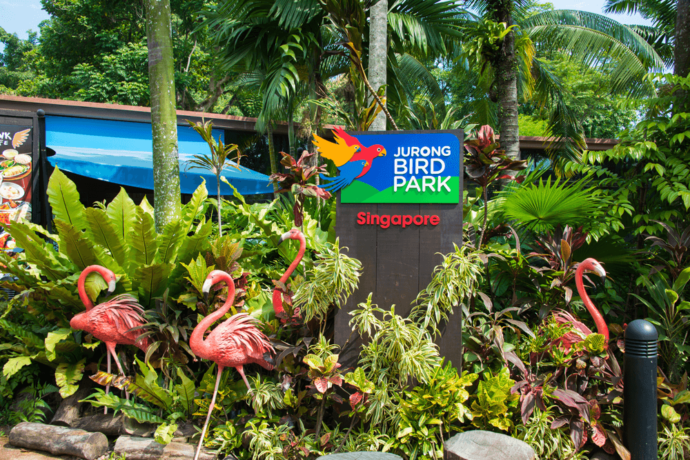 Jurong Bird Park