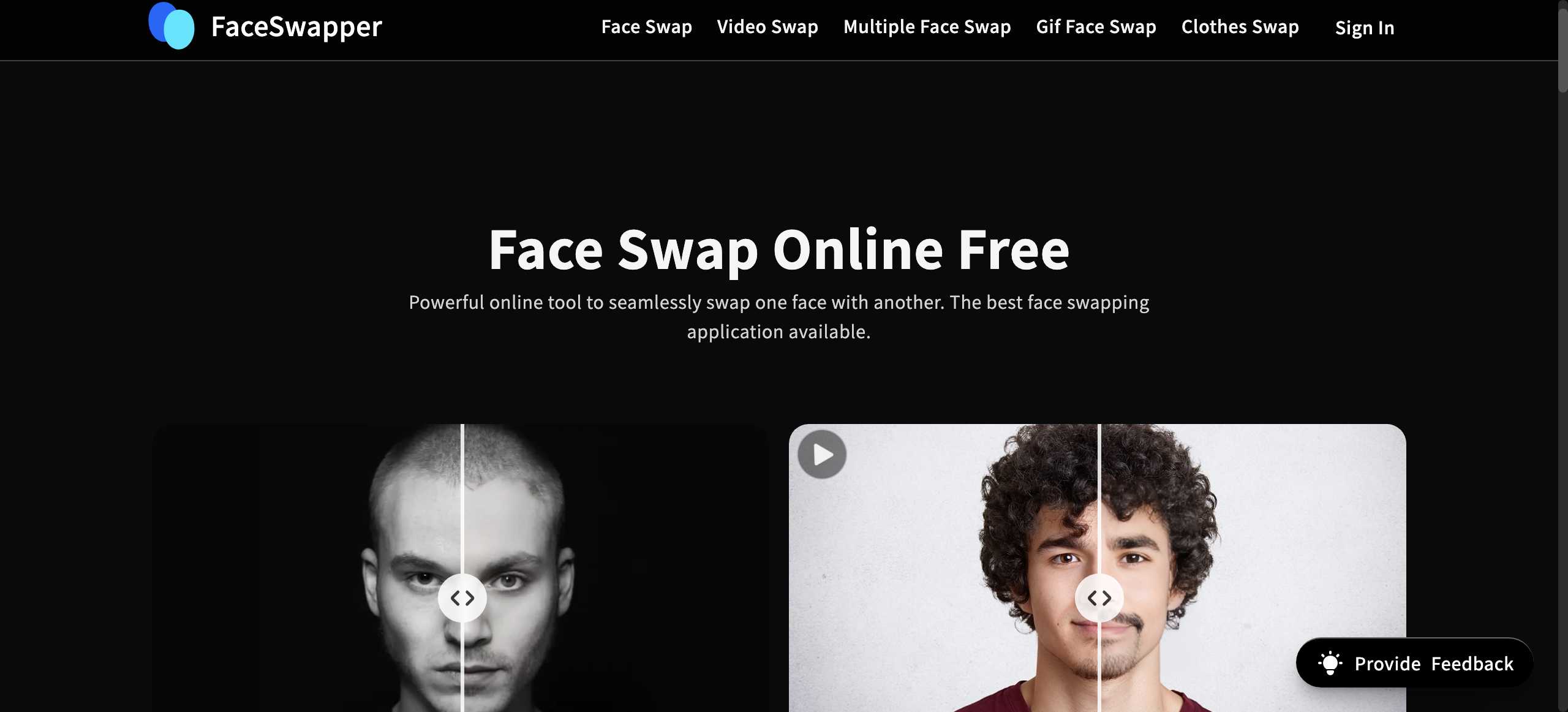 FaceSwapper