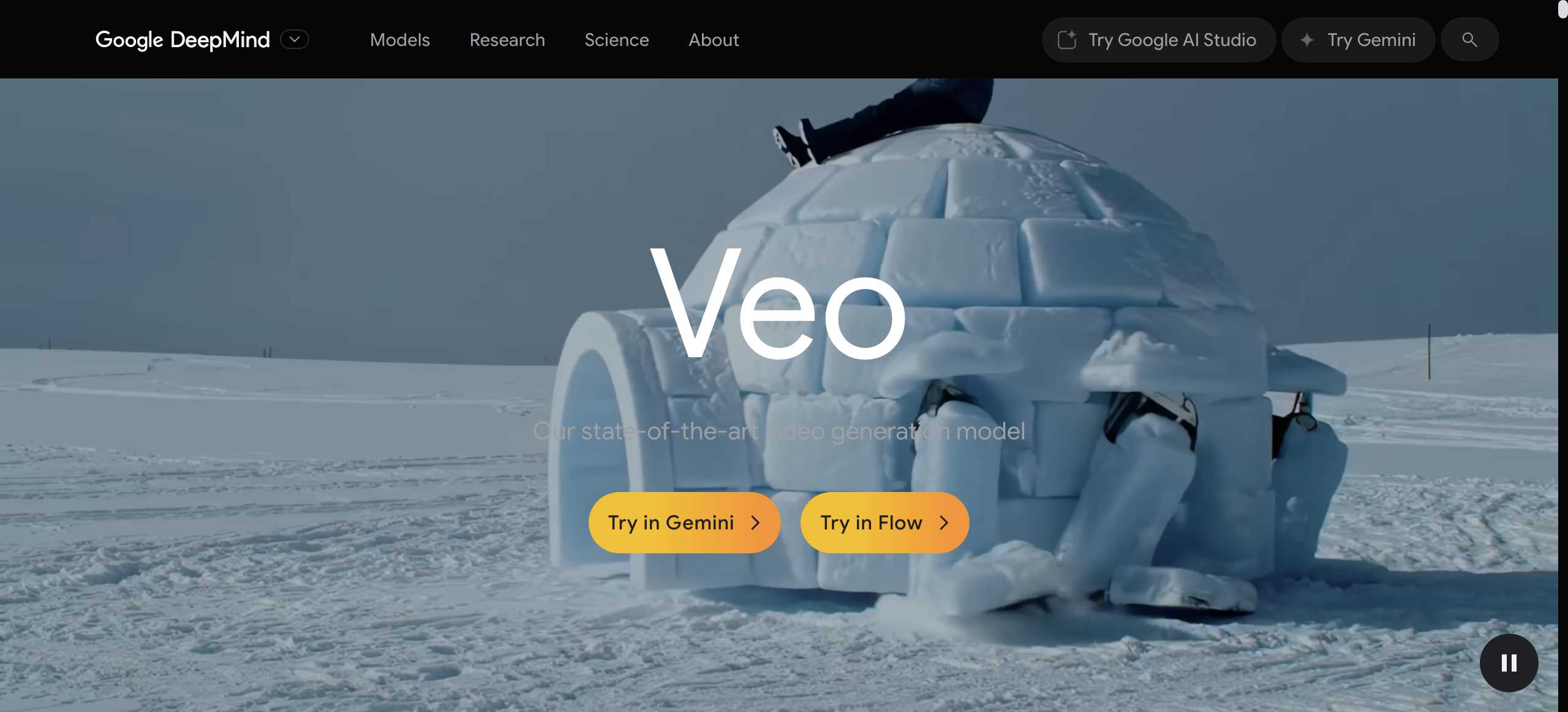 Google Veo