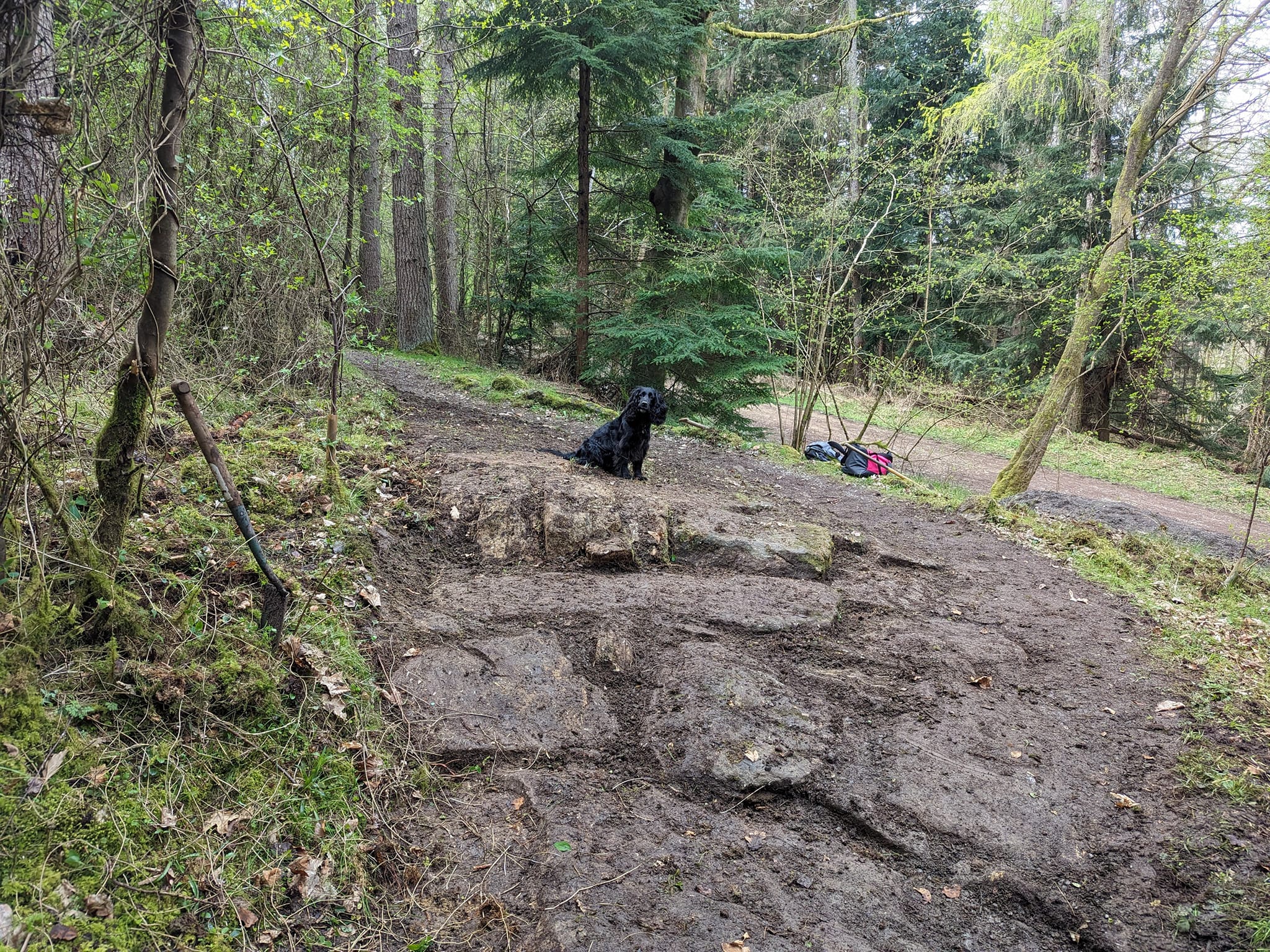  Skills Loop Refresh At Hamsterley Forest MTB Trails