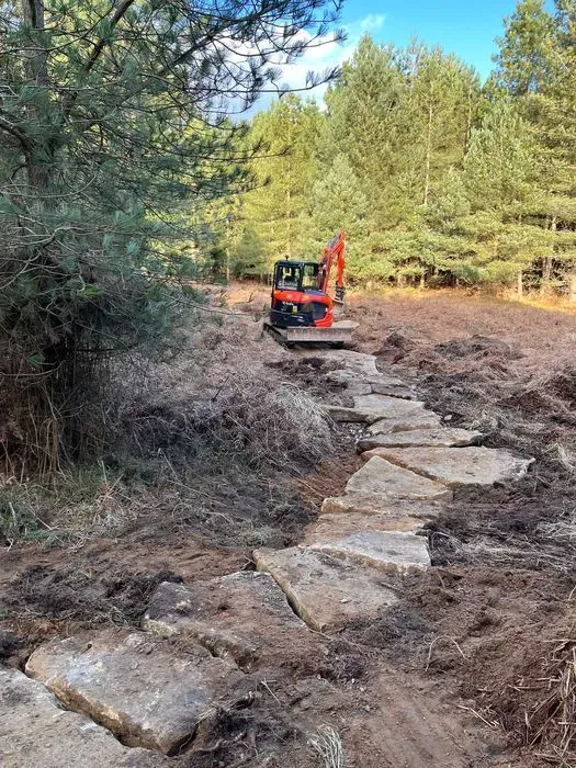 Thetford Forest Mountain Bike Trails