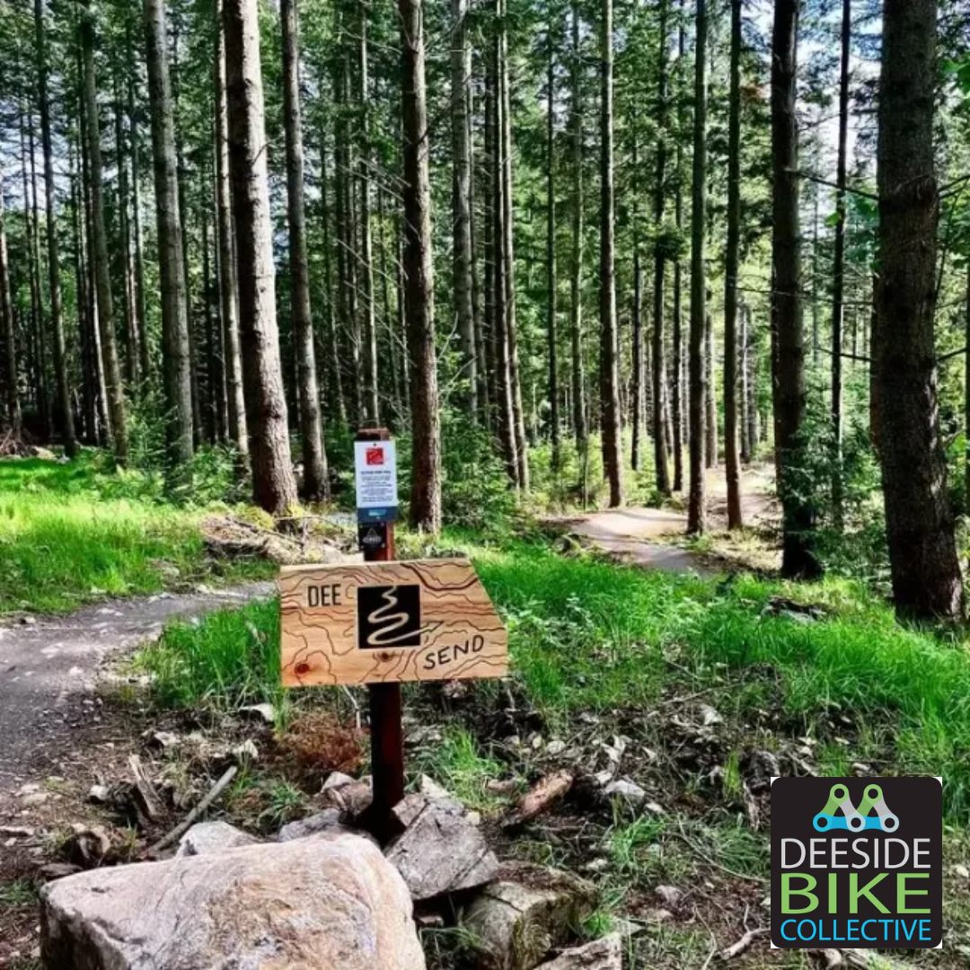 Banchory Woodland Trails: New skills area and red trail upgrade begin