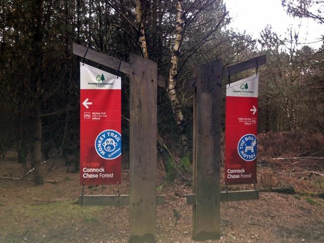 New Blue Trail And New Red Features Planned for Cannock Chase