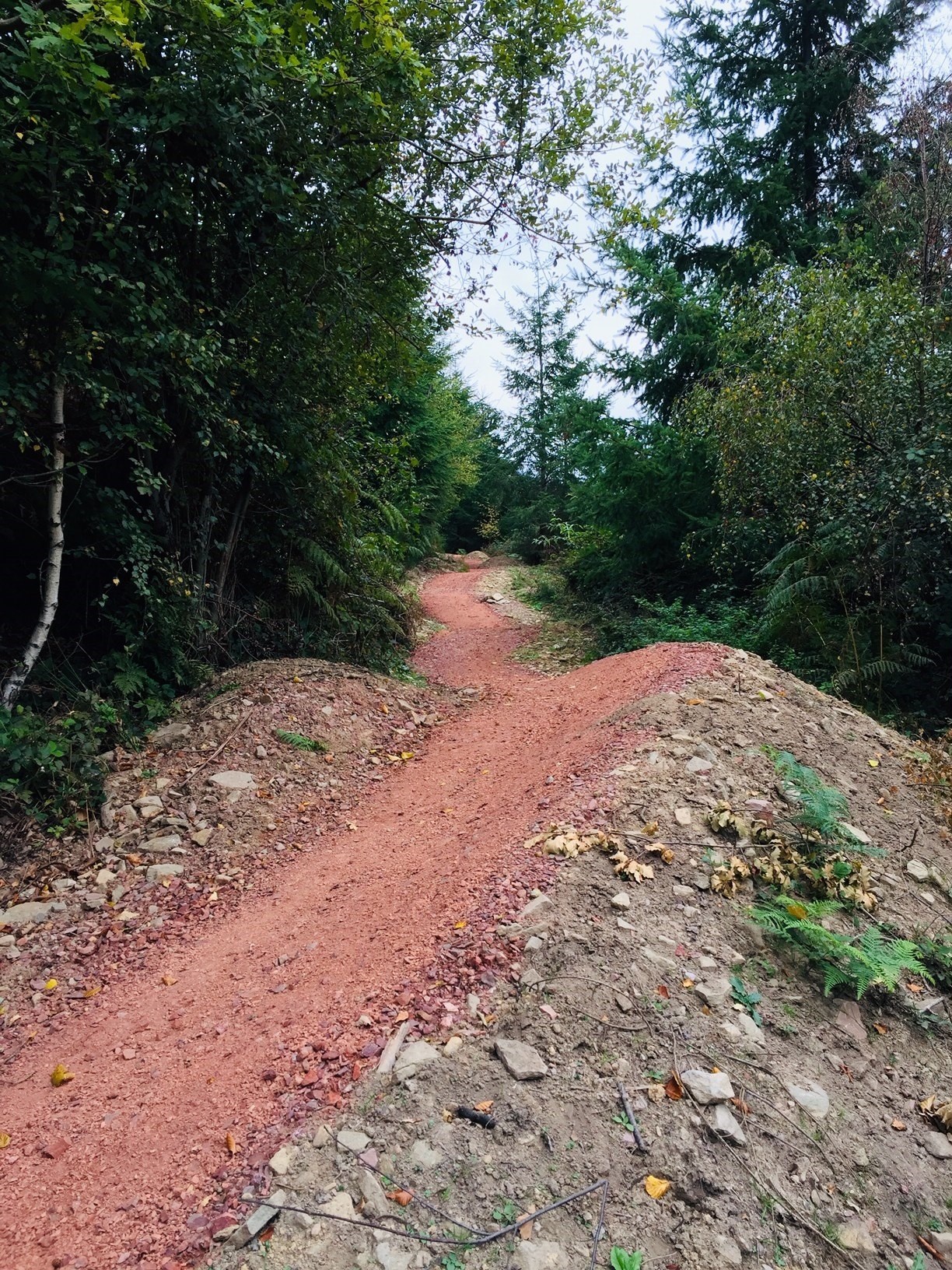 Forest of Dean Upgrades The Verderers and the Advanced Skills Area