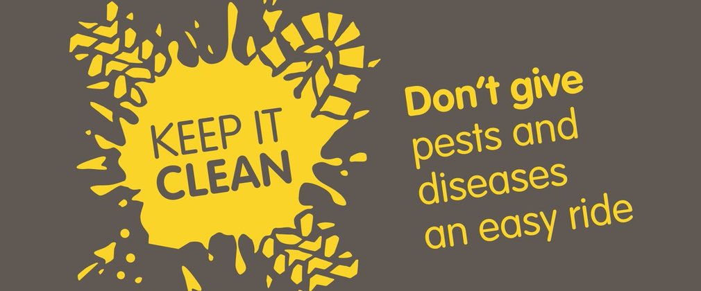 One More New Year's Resolution - Keep It Clean!
